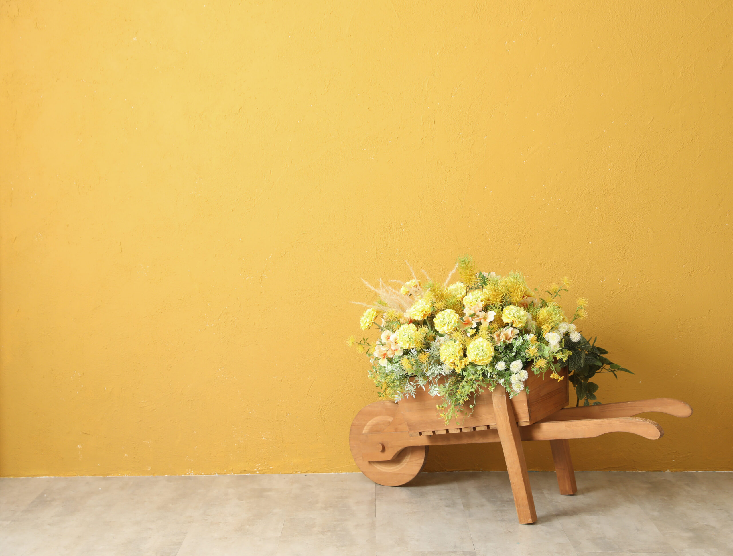 画像：撮影スタジオ