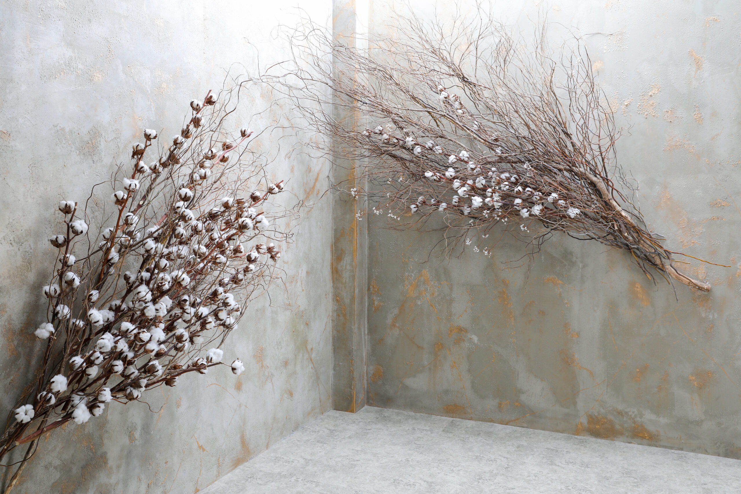 画像：撮影スタジオ