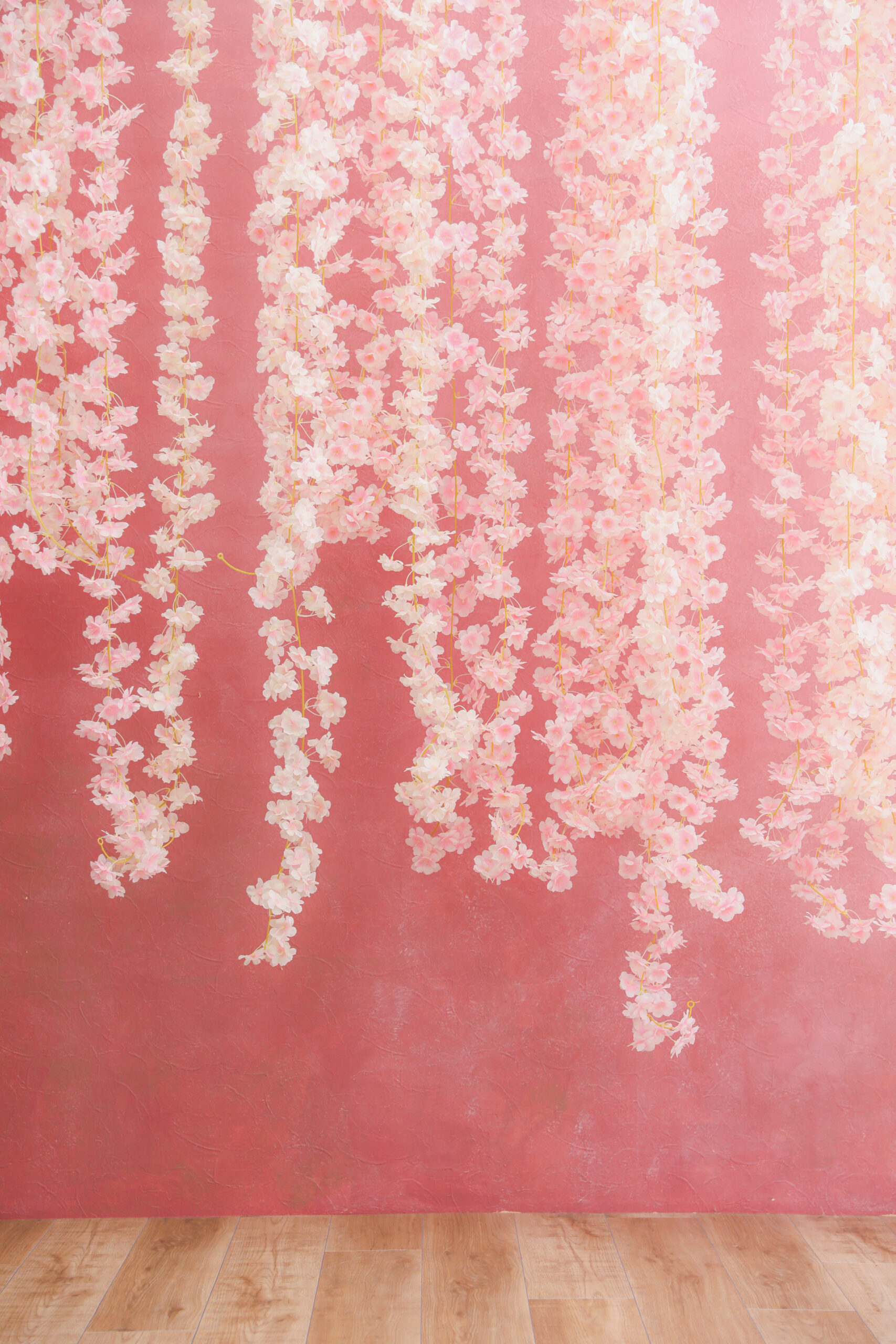 画像：撮影スタジオ