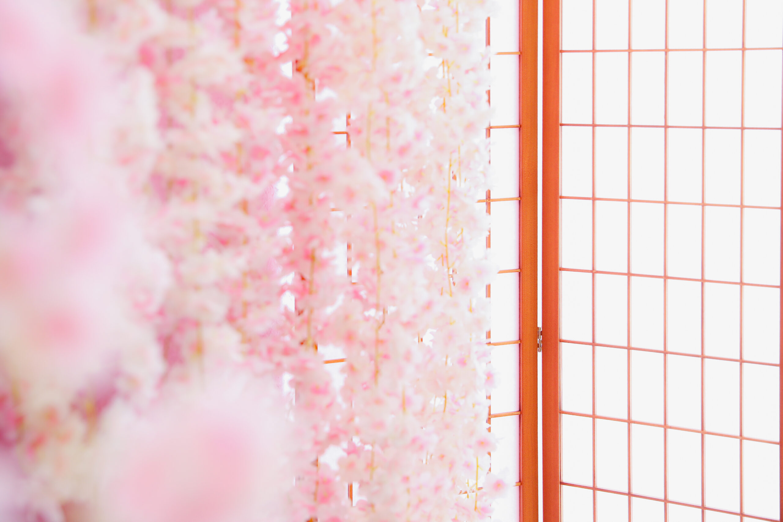 画像：撮影スタジオ